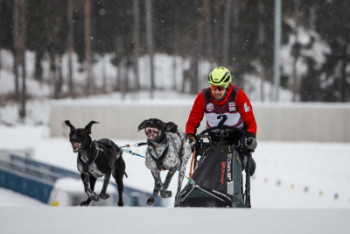 IFSS Pasaules kausa posms suņu kamanu sportā